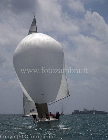 senza titolo-8135