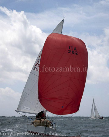 senza titolo-8202
