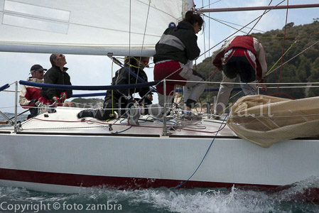 senza titolo-8206