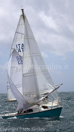 senza titolo-8355