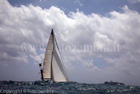 senza titolo-8370