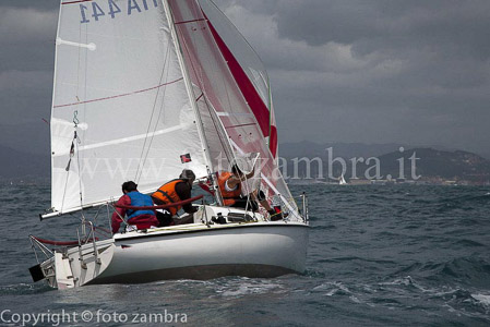 senza titolo-8406