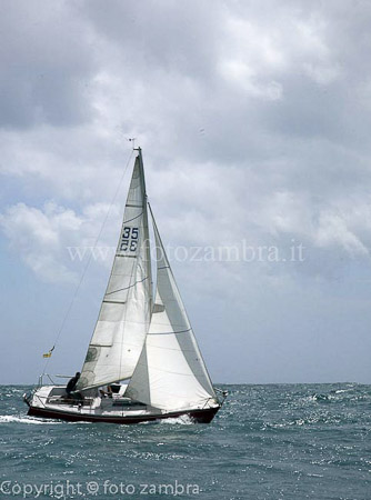 senza titolo-8407