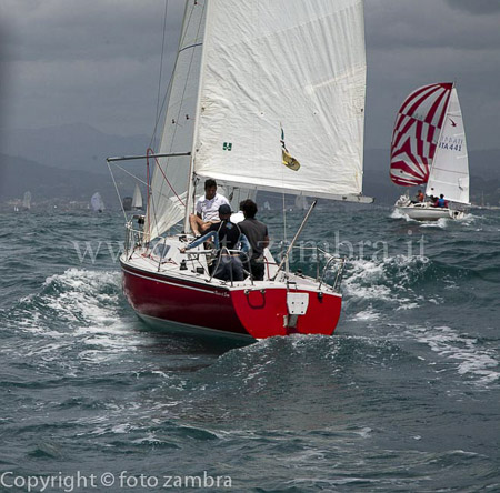 senza titolo-8419