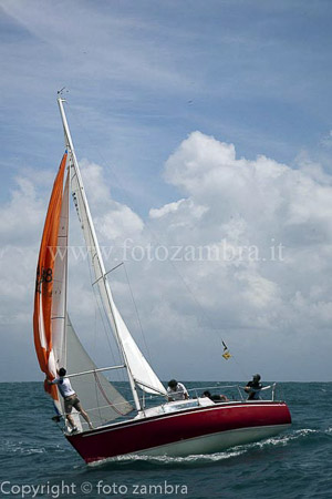 senza titolo-8426