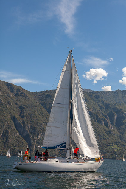 senza titolo-1298