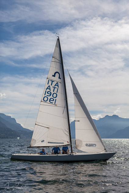 senza titolo-1304