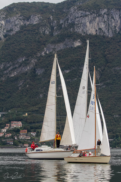 senza titolo-4506