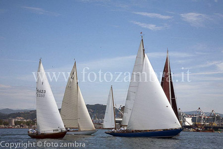 senza titolo-7147