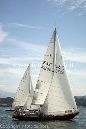 senza titolo-7150