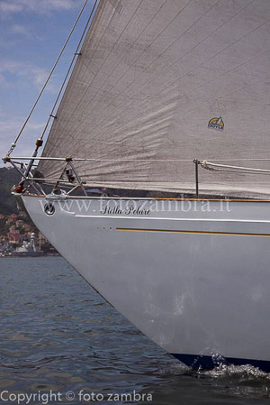 senza titolo-7166