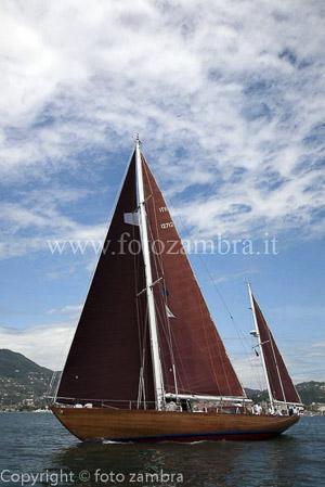 senza titolo-7232
