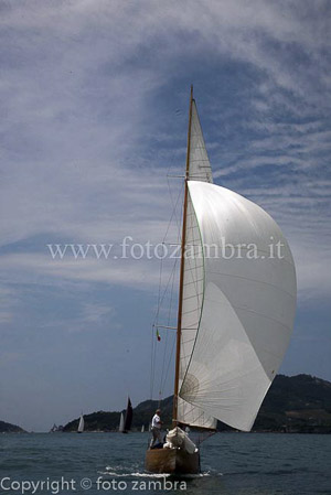 senza titolo-7440