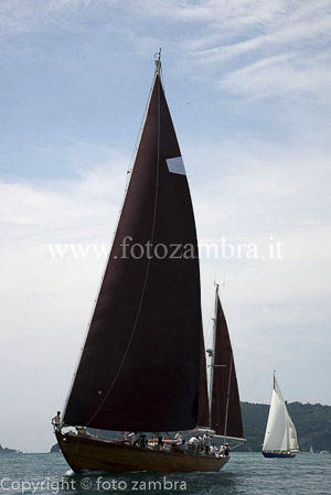 senza titolo-7457