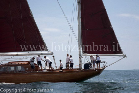 senza titolo-7461