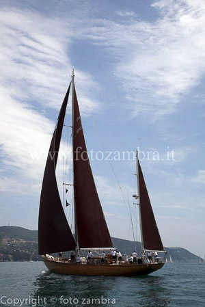 senza titolo-7465
