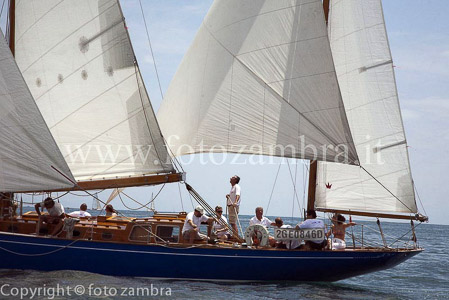 senza titolo-7486