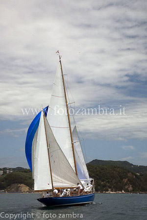 senza titolo-7527