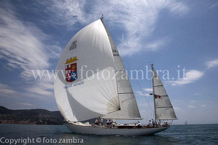 senza titolo-7533