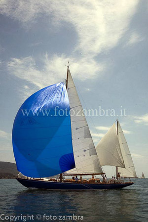senza titolo-7539