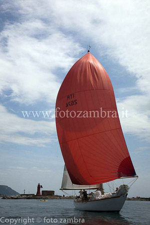senza titolo-7651
