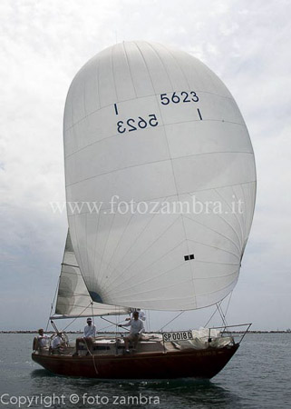 senza titolo-7671