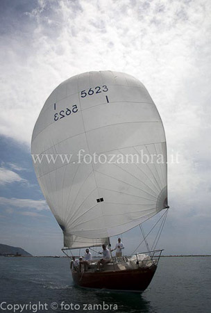 senza titolo-7673