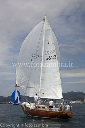 senza titolo-7684