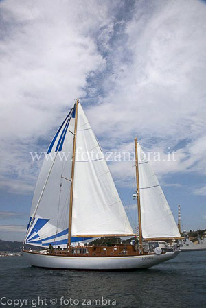 senza titolo-7718