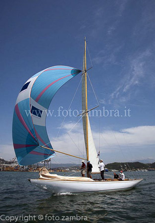 senza titolo-7803