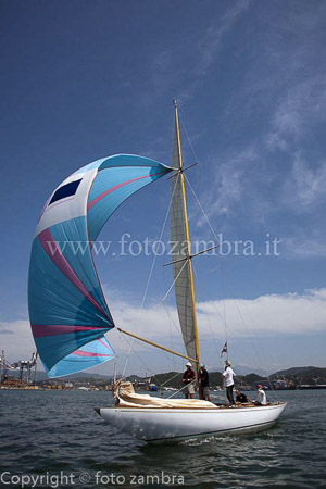senza titolo-7805