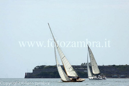 senza titolo-9073